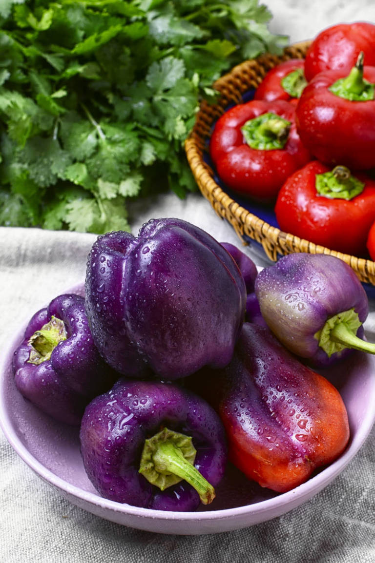 Bell pepper in the dish