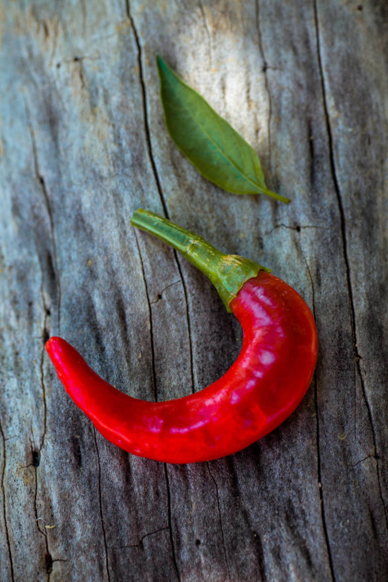 Fresh red chili pepper